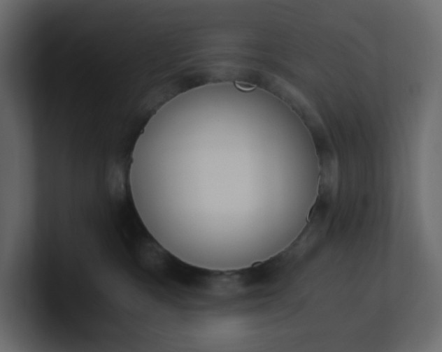 X0000101120333200807101548