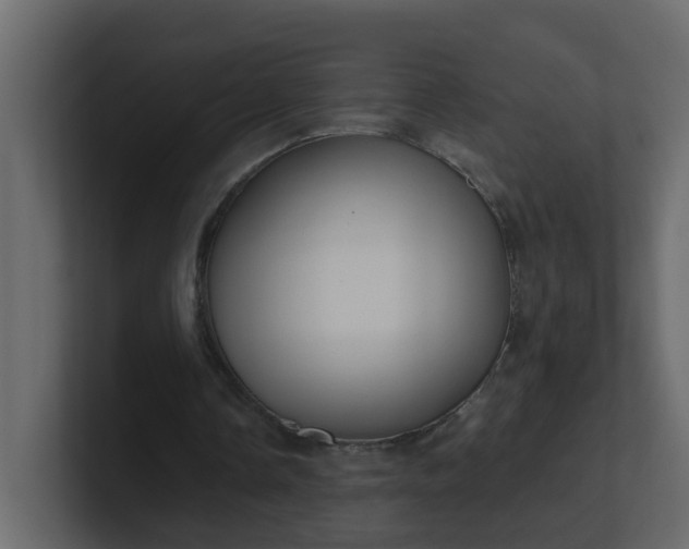 X0000101120338200807101548