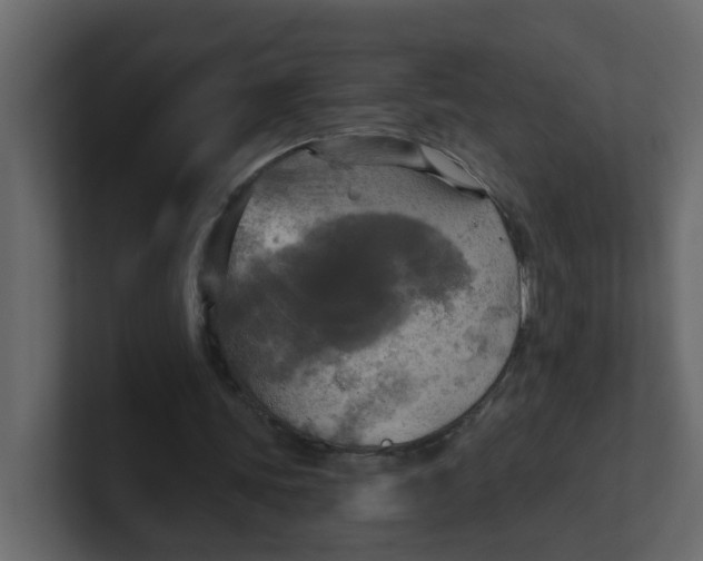 X0000101120339200807101548