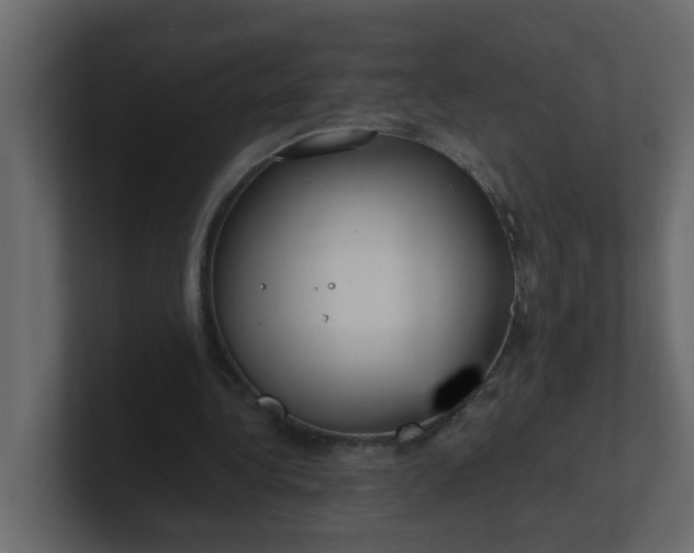 X0000101120340200807101548
