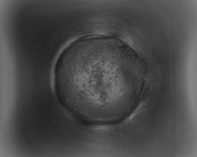 X0000101120342200807101548