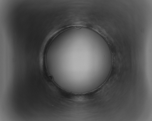 X0000101120344200807101548