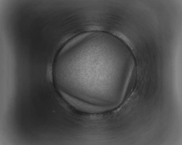 X0000101120345200807101548