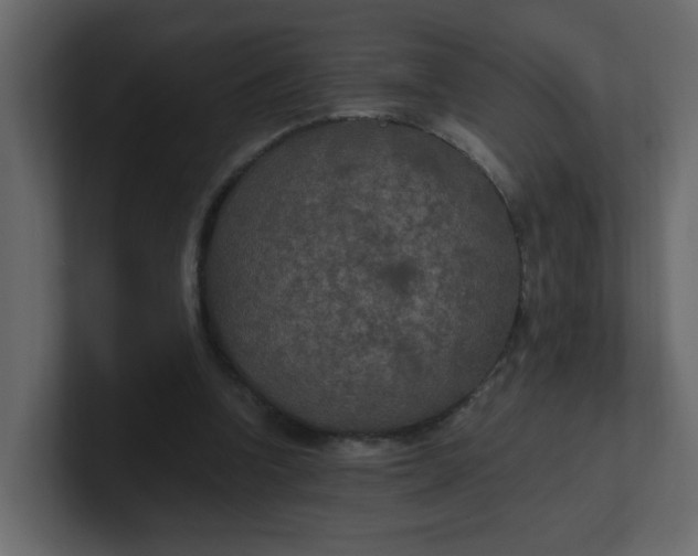 X0000101120346200807101548