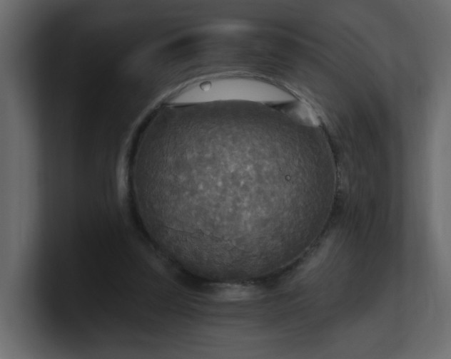 X0000101120347200807101548