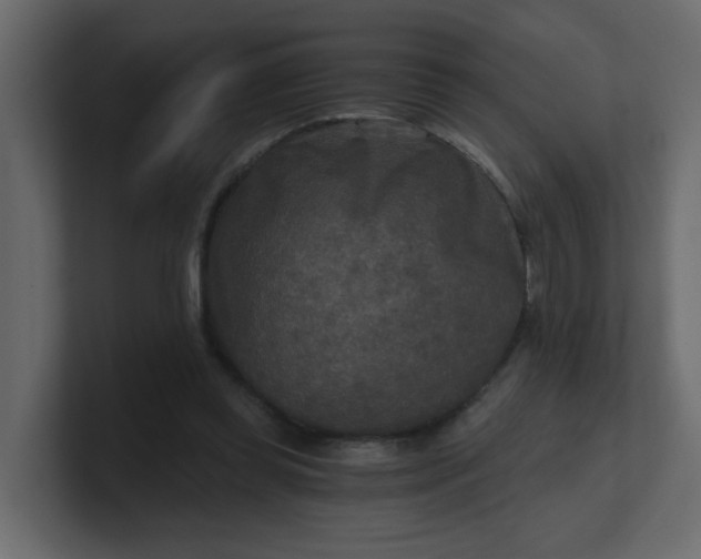 X0000101120349200807101548