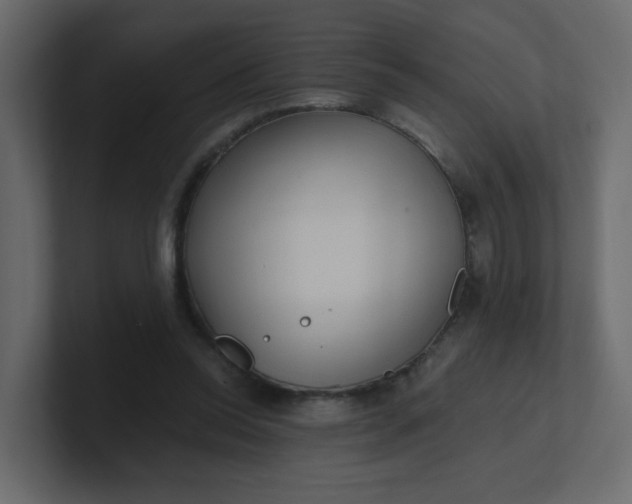 X0000101120350200807101548