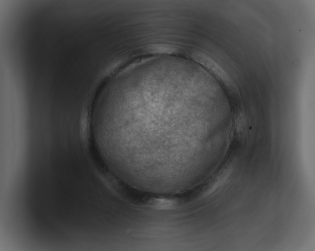 X0000101120352200807101548