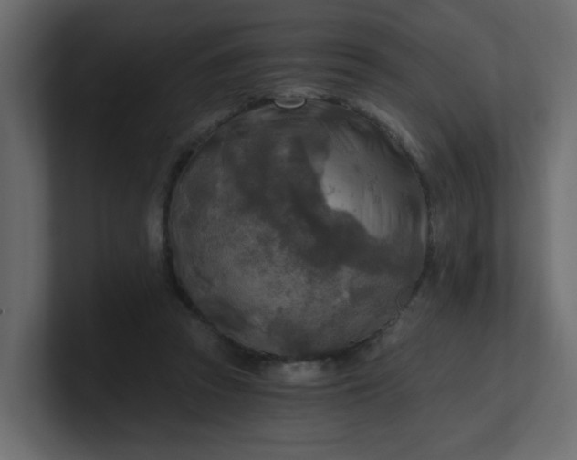 X0000101120353200807101548