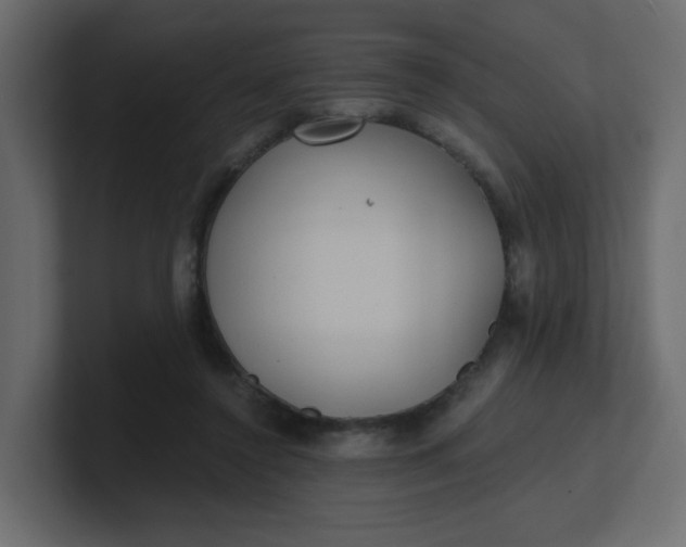 X0000101120356200807101548