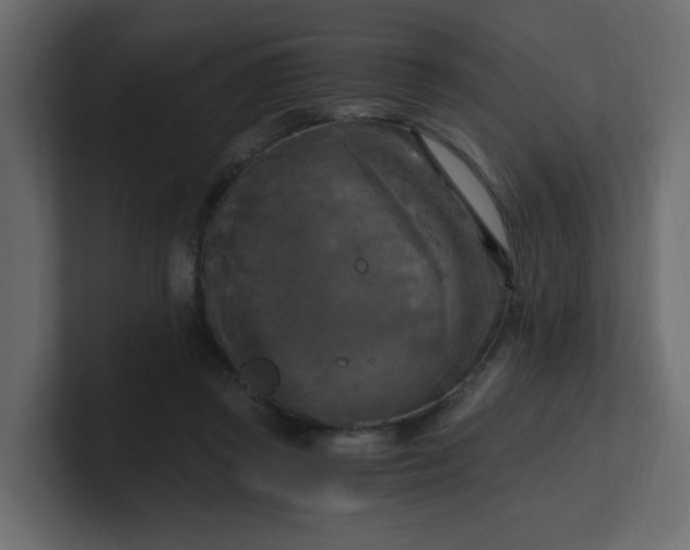 X0000101120357200807101548