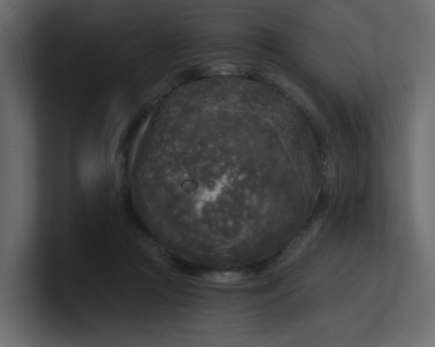 X0000101120361200807101548