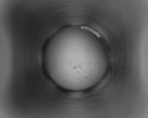 X0000101120362200807101548