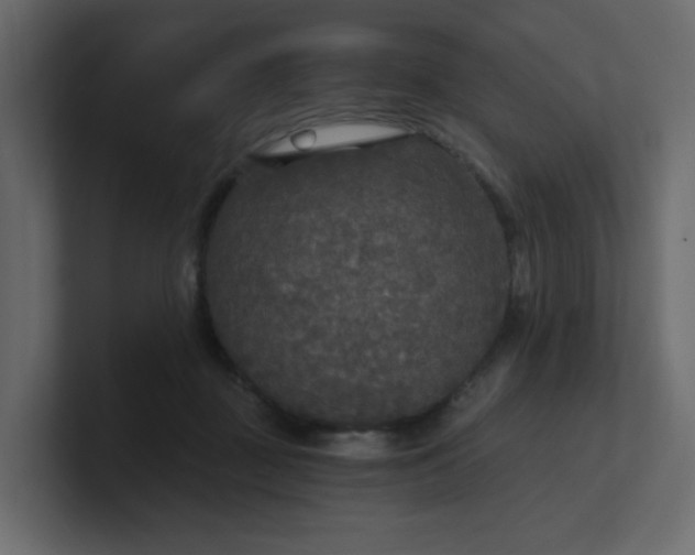 X0000101120363200807101548