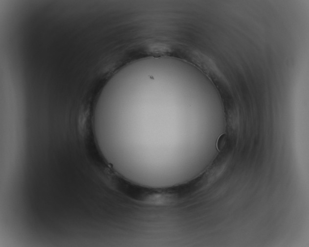 X0000101120364200807101548