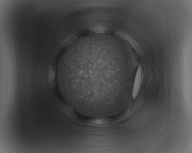 X0000101120365200807101548