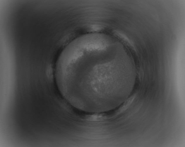 X0000101120366200807101548