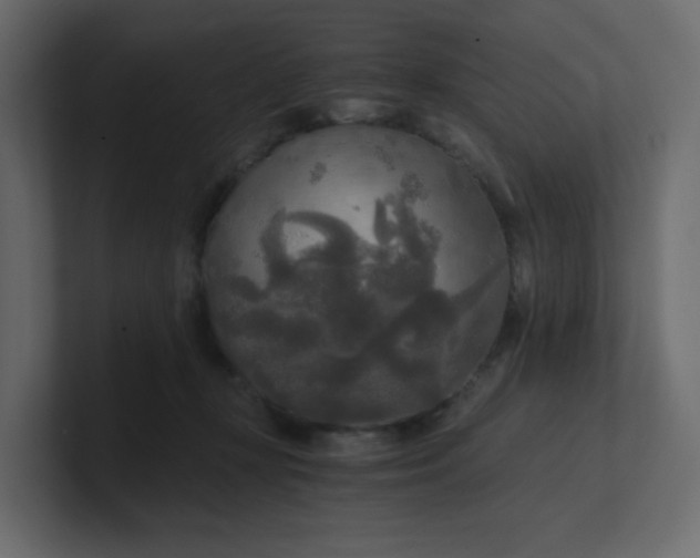 X0000101120367200807101548