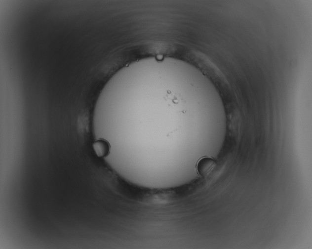 X0000101120368200807101548