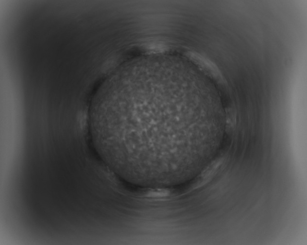 X0000101120369200807101548