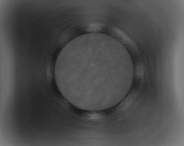 X0000101120370200807101548