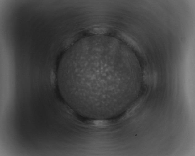 X0000101120371200807101548