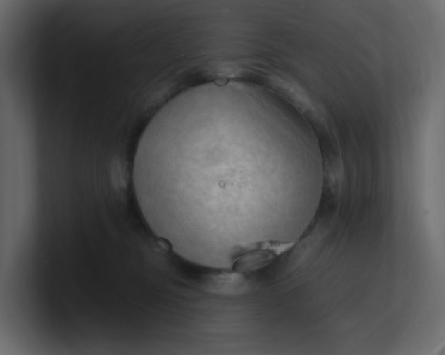 X0000101120374200807101548