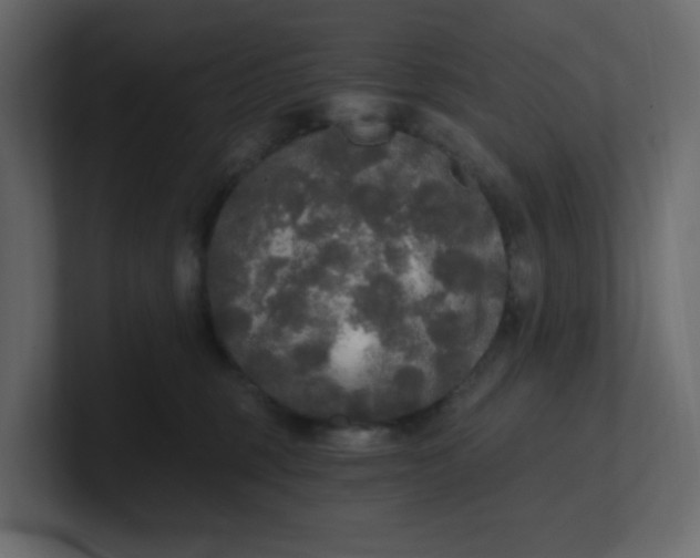 X0000101120375200807101548