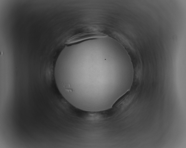 X0000101120376200807101548
