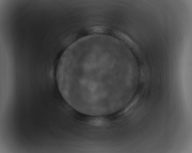 X0000101120377200807101548