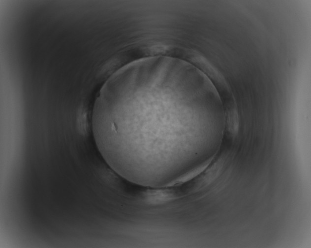 X0000101120378200807101548
