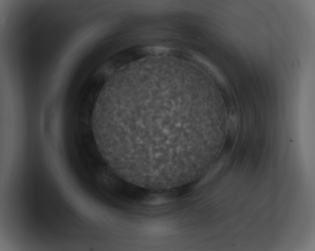 X0000101120381200807101548