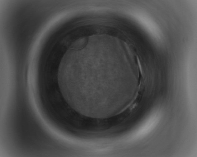 X0000101120383200807101548