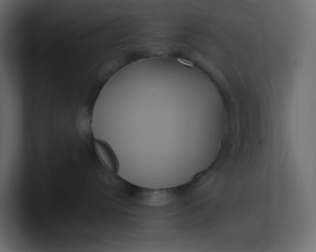 X0000101120384200807101548