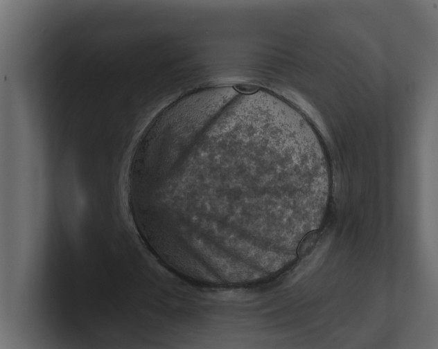 X0000101120385200807101548