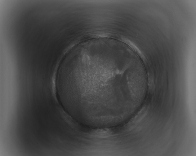 X0000101120386200807101548
