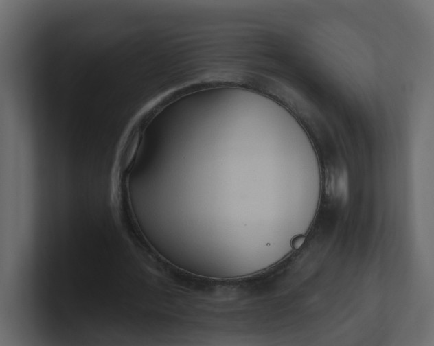 X0000101120388200807101548