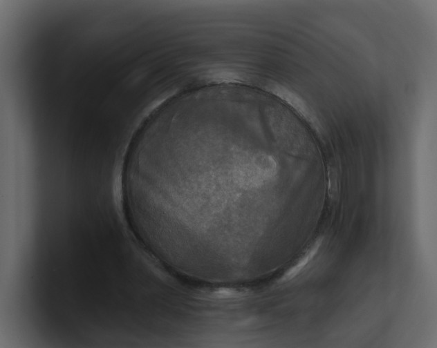 X0000101120390200807101547