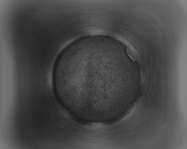 X0000101120391200807101547