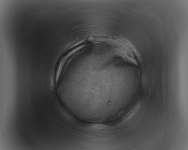 X0000101120393200807101547