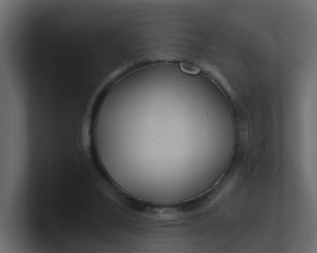 X0000101120395200807101547