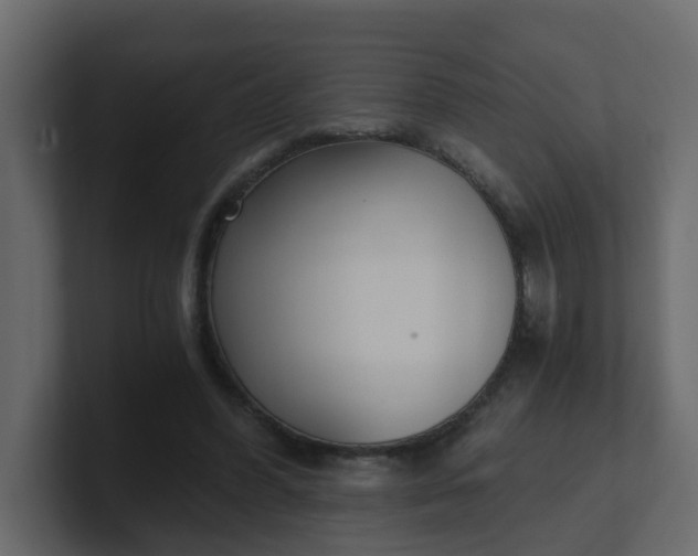 X0000101120396200807101547