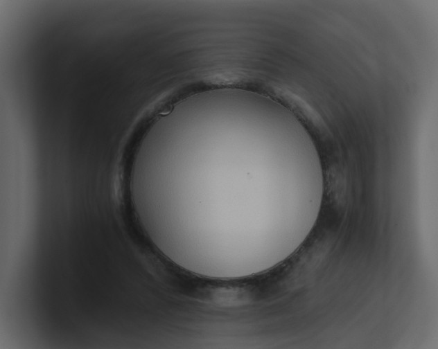 X0000101120400200807101547