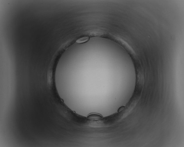 X0000101120403200807101547