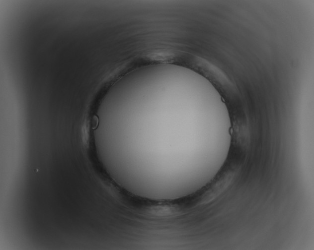 X0000101120404200807101547