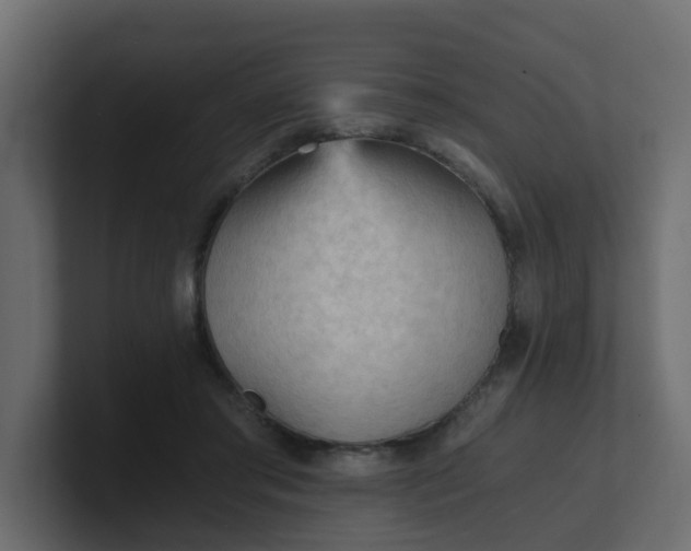 X0000101120405200807101547