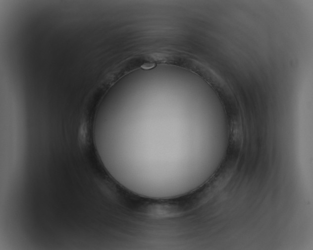 X0000101120408200807101547