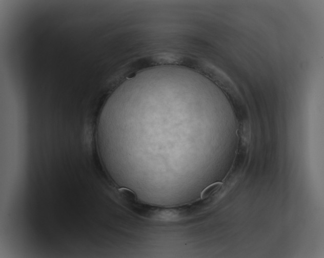 X0000101120409200807101547