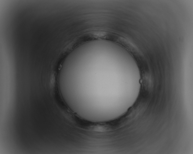X0000101120412200807101547
