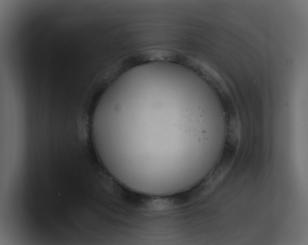 X0000101120413200807101547